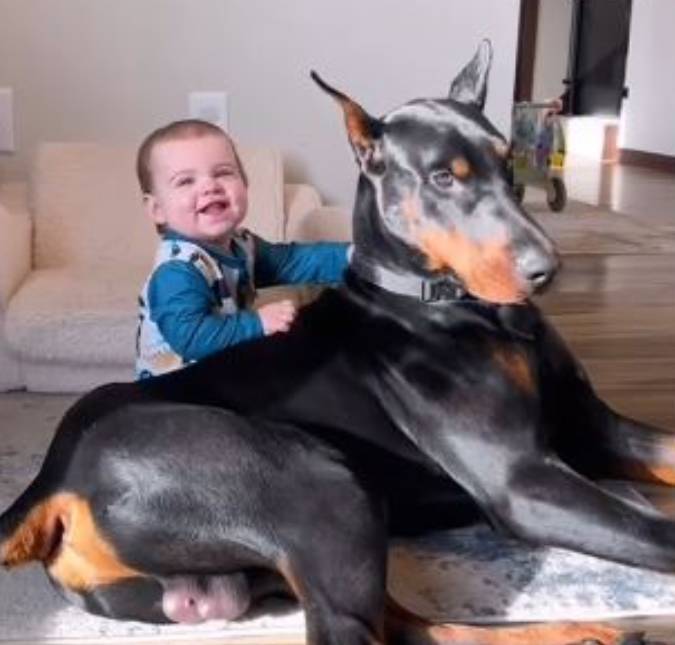 Melhores aumigos! Bebês e cachorros encantam a web ao se divertirem juntos; veja vídeo!